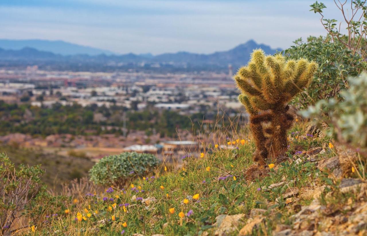 Raintree At Phoenix South Mountain Preserve Extérieur photo