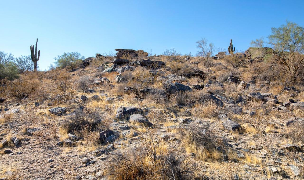 Raintree At Phoenix South Mountain Preserve Extérieur photo